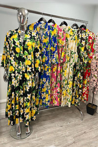 10681Lemon Print
