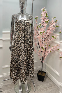 65147Leopard