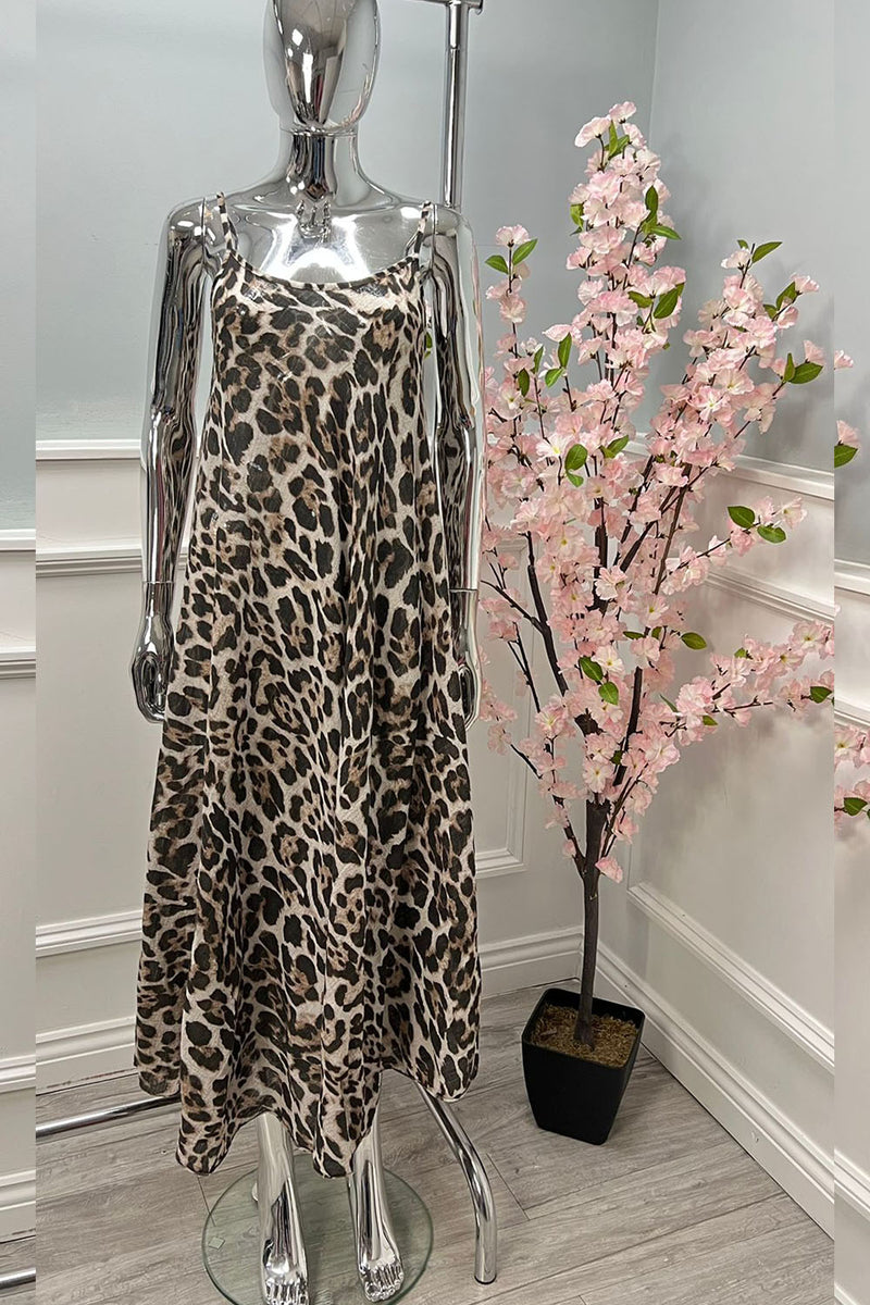 65147Leopard
