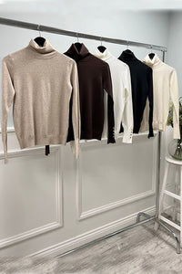 Long sleeves , turtle neck Jumper