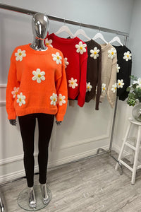 Round Neck, Floral Embroidery Detailed Knitted Jumper.