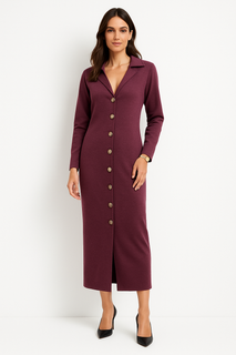 Collared, V-Neck, Golden Broach Detailed, Side Ruched & Front Split Hem Detailed Dress